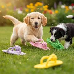 Cotton Slipper Rope Dog Chew Toy for Teeth Cleaning