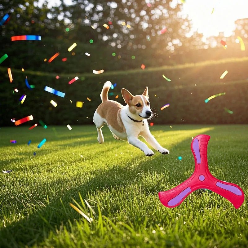 Dog Training Boomerang Interactive Fetch ToyEstaliosFitEstaliosFit184217107;2026052;1777699419VLcqO
