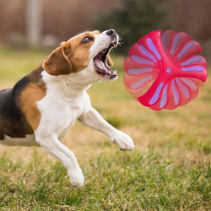 Dog Training Boomerang Interactive Fetch ToyEstaliosFitEstaliosFit184217107;2026052;1777699419VLcqO