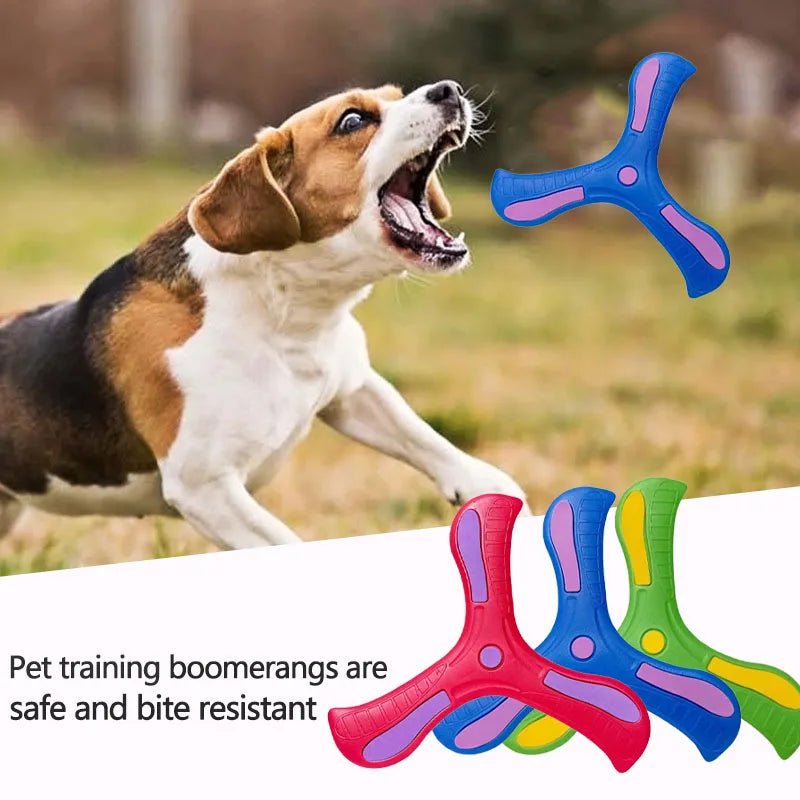 Dog Training Boomerang Interactive Fetch ToyEstaliosFitEstaliosFit184217107;2026052;1777699419VLcqO