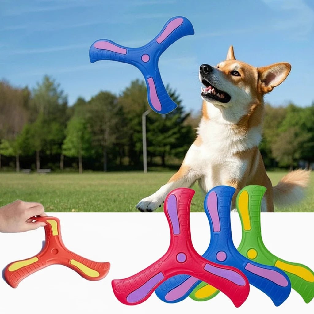 Dog Training Boomerang Interactive Fetch ToyEstaliosFitEstaliosFit184217107;2026052;1777699419VLcqO