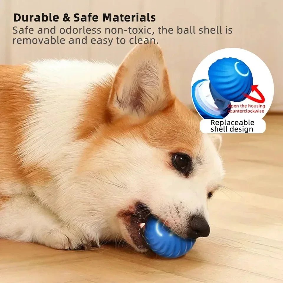 Interactive Smart Rolling Ball Toy for Dogs and CatsEstaliosFitEstaliosFit184217091;2026052;1777699395C1cbU
