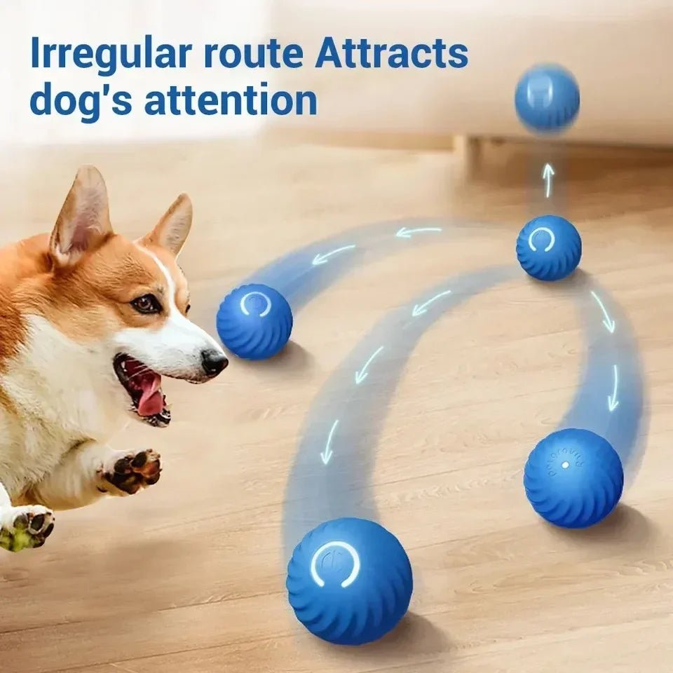 Interactive Smart Rolling Ball Toy for Dogs and CatsEstaliosFitEstaliosFit184217091;2026052;1777699395C1cbU