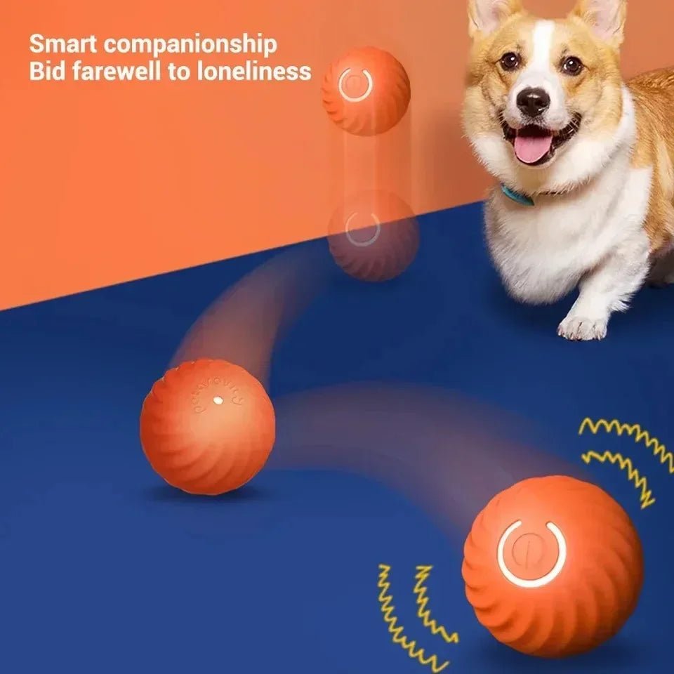 Interactive Smart Rolling Ball Toy for Dogs and CatsEstaliosFitEstaliosFit184217091;2026052;1777699395C1cbU